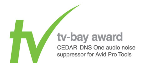 TV-Bay Award 2010